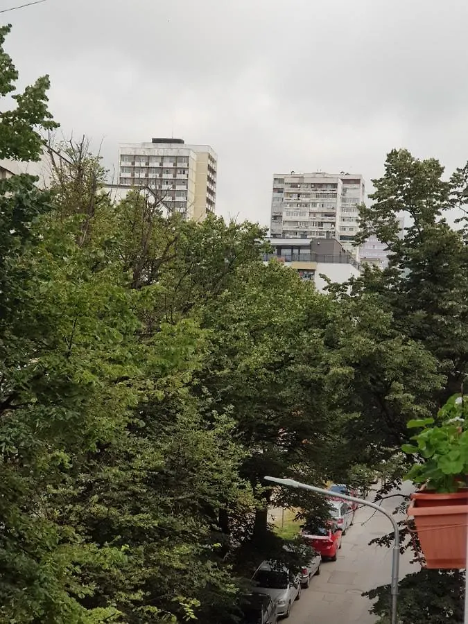 Apartment Wild Walnut Varna